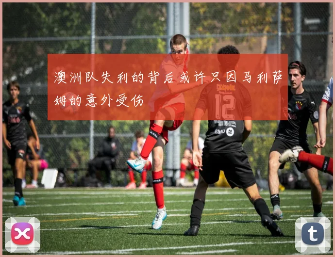 澳洲队失利的背后或许只因马利萨姆的意外受伤